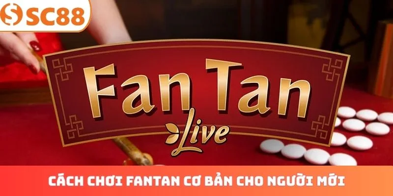 Cách chơi fantan cơ bản cho người mới