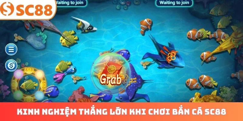 Kinh nghiệm thắng lớn khi chơi bắn cá SC88